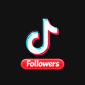 250 TikTok Followers